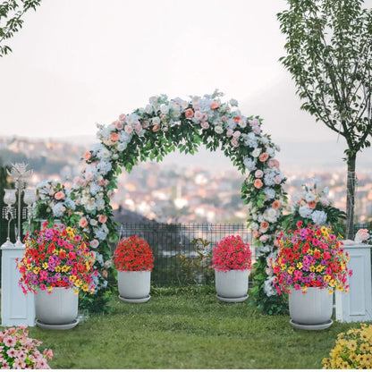 🔥 Last Day Sale Price | Turn Your Garden Into a Colorful Paradise